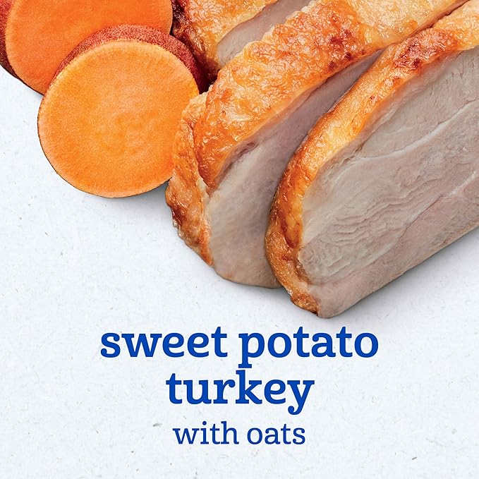 Gerber Stage 2 Baby Food, Sweet Potato Turkey with Oats Puree Tub, Nourishing Blends, No Added Colors or Flavors, Baby Puree, 2-Pack