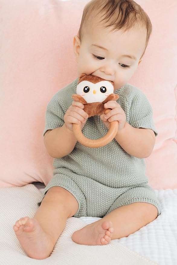 Pearhead Owl Wooden Baby Teething Ring, Plush Animal Infant Teether with Natural Wood, BPA-Free Sensory Rattle Toy for Newborns, 0 Months+