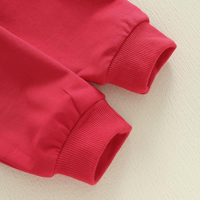 WZTYYDS Toddler Baby Boy Fall Clothes Letter Truck Long Sleeve Pullover Sweatshirt Tops Joggers Pants Set Winter Outfits