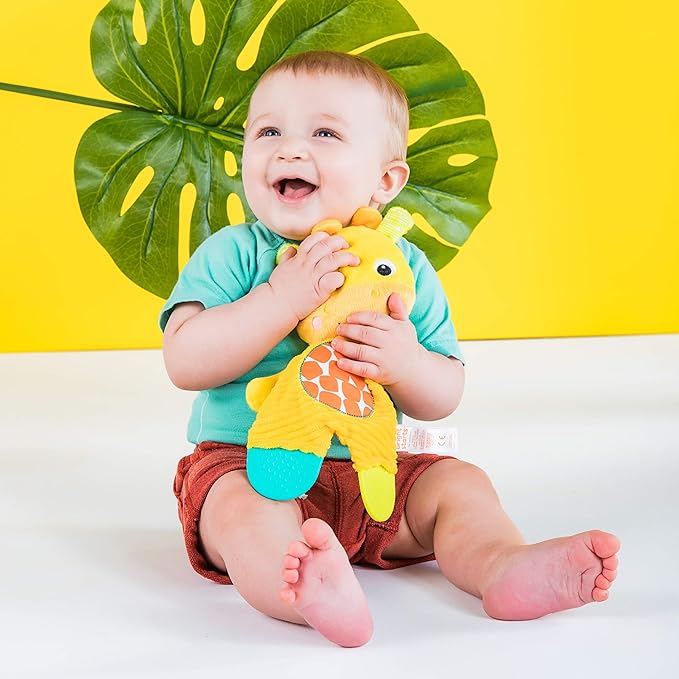 Bright Starts Snuggle & Teethe BPA-Free Crinkle Teething Plush Baby Toy - Giraffe,(Pack of 6)