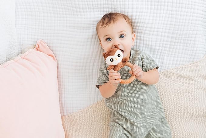 Pearhead Owl Wooden Baby Teething Ring, Plush Animal Infant Teether with Natural Wood, BPA-Free Sensory Rattle Toy for Newborns, 0 Months+