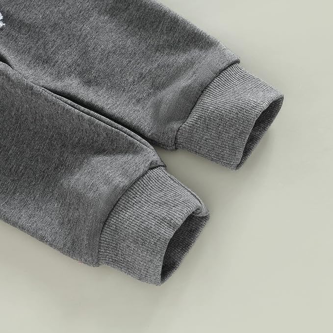 Toddler Baby Boy Fall Outfit Crewneck Long Sleeve Sweatshirt Tops Elastic Pants Jogger Cute Newborn Winter Clolthes Set