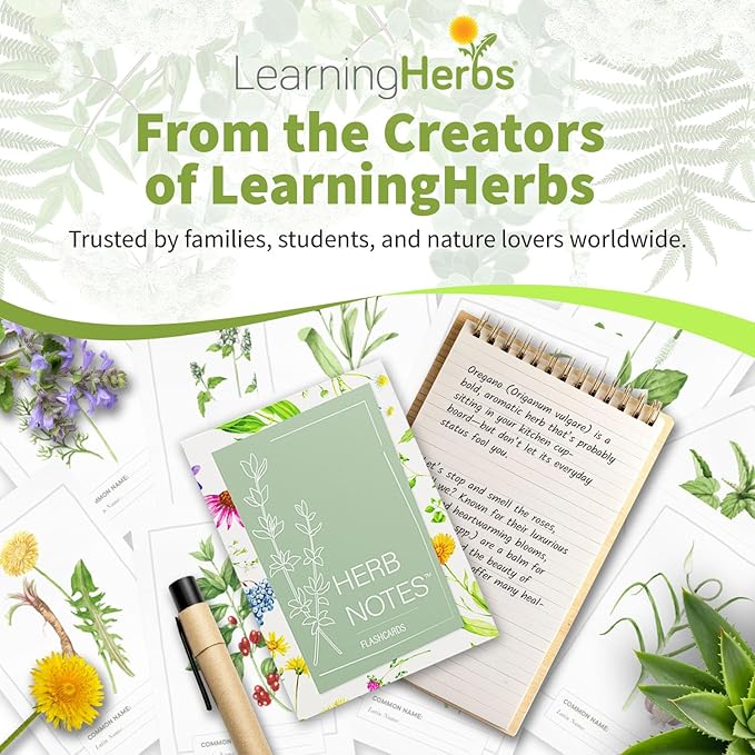 Herb Notes Flash Cards – Educational Plant Learning Cards with Botanical Illustrations – 48-Card Set for Plant Identification, Nature Study & Classroom Learning