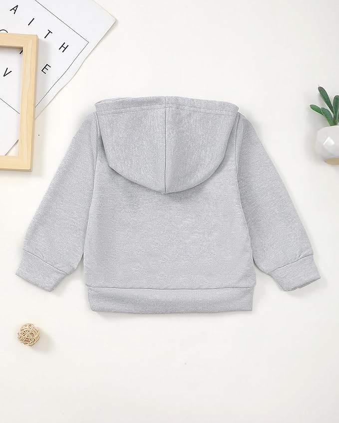 NZRVAWS Toddler Baby Boy Clothes 6 12 18 24 Months Long Sleeve Hoodie Sweatshirt Fall Winter 2-8T Little Boy Outfits