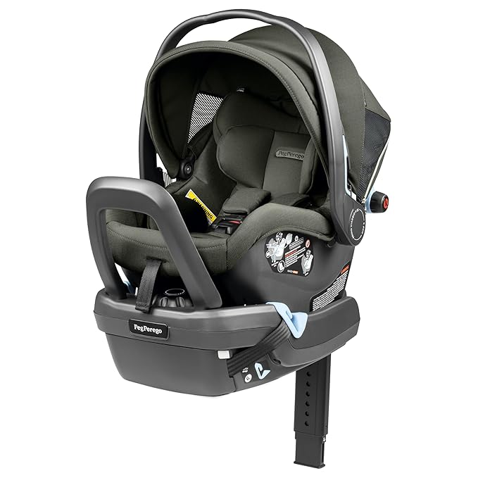 Peg Perego Primo Viaggio Nido - Rear Facing Infant Car Seat - Includes Base with Load Leg & Anti-Rebound Bar - for Babies 4 to 30 lbs - Made in Italy - Metal