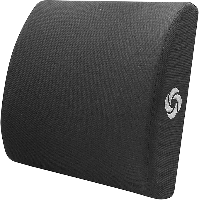 Samsonite Ergonomic Lumbar Support Pillow for Office Chair and Car Seat - Memory Foam Back Support Lumbar Pillow Premium Cushion Chair Support for Lower Back Pain Relief and Versatile Use (Black)