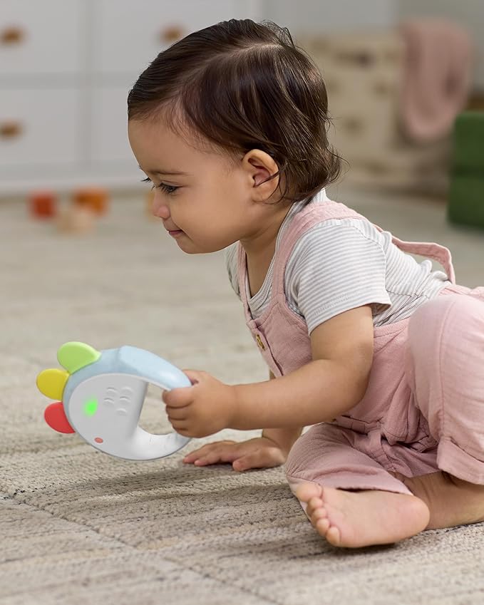 Skip Hop Musical Baby Toy with Sounds Lights and Music, Farmstand Feelin' Clucky Tambourine, Age 9m+