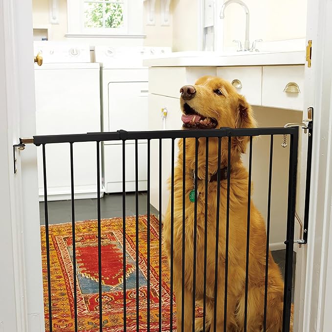 Cardinal Gates MG25 Duragate Baby Gate - Adjustable Dog Gate - Steel Safety Gate for Kids & Pets - 26.5 to 41.5 Inches Wide - Black