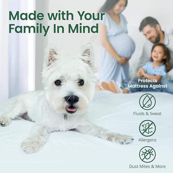 SafeRest Sleepure Waterproof Mattress Protector Queen Size - Viscose Derived from Bamboo - Fitted with Stretchable Pockets - Machine Washable Cotton Queen Mattress Cover for Bed
