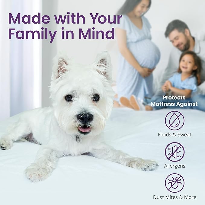 SafeRest CloudGuard - Queen Size Hybrid Mattress Protector & Pad (Extra Padded) - Waterproof Quilted Pillow Top Mattress Cover - Thick, Plush & Fitted Mattress Topper for Bed