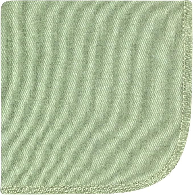 Hudson Baby Unisex Baby Flannel Washcloths, Dinosaur Adventures 12Pk, One Size