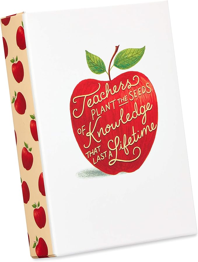 Papyrus Blank Cards with Envelopes, Apple for Teacher (14-Count)