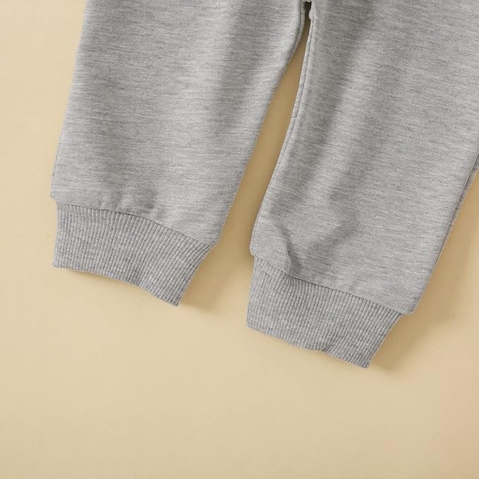 Toddler Baby Boy Clothes Solid Color Long Sleeve Crewneck Sweatshirt Top Casual Pants Set 2Pcs Fall Winter Outfits