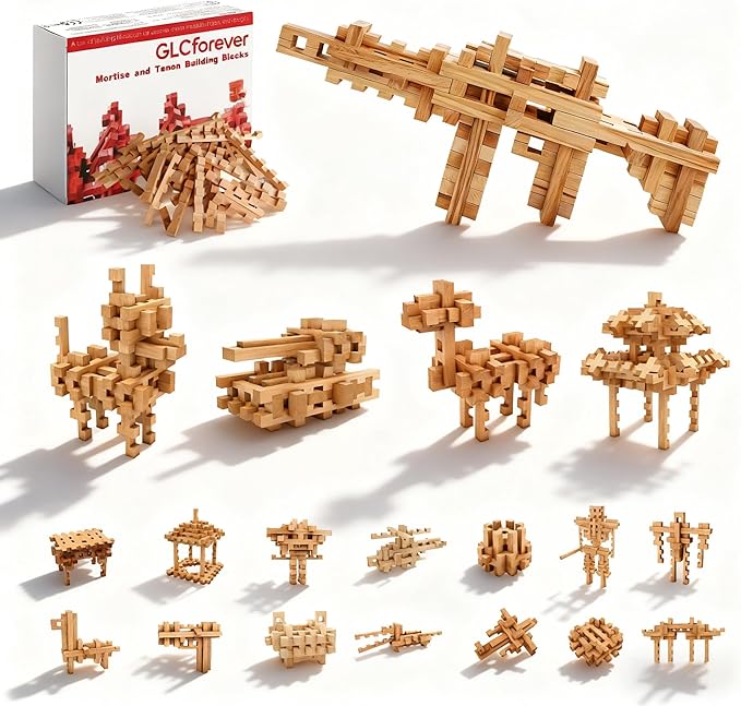 STEM Wooden Building Blocks - 20+ Shapes, 3D Puzzle, Brain Games, Educational Toys Gift for Kids and Classroom,Montessori STEM Toys for Ages 5+ and Adults (20 in 1 Premium Version)
