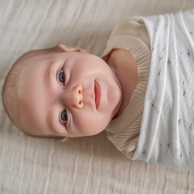 aden + anais Silky Soft Swaddle Blanket, Boutique Muslin Blankets for Girls & Boys, Baby Receiving Swaddles, Ideal Newborn & Infant Swaddling Set, Perfect Shower Gifts, 2 Pack, Healing Nature
