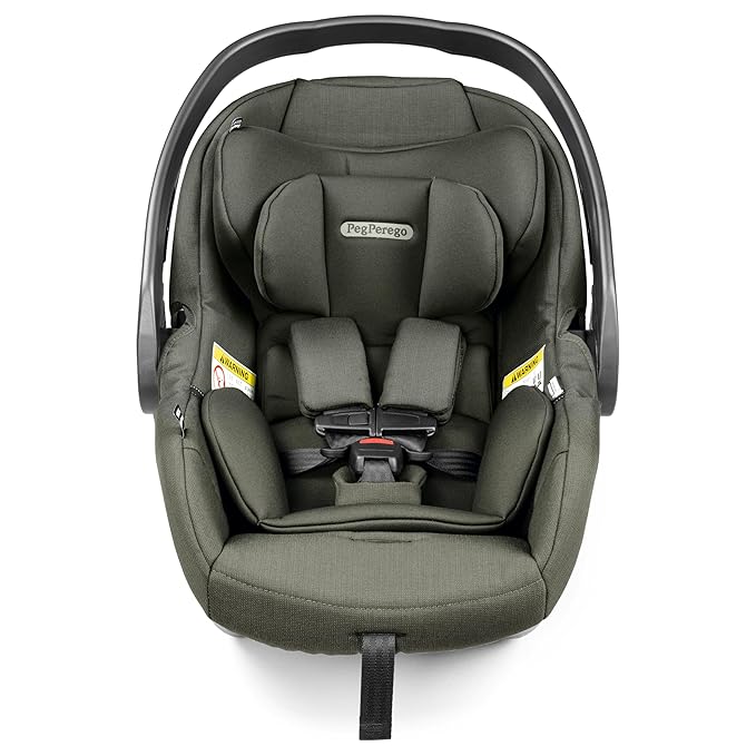 Peg Perego Primo Viaggio Nido - Rear Facing Infant Car Seat - Includes Base with Load Leg & Anti-Rebound Bar - for Babies 4 to 30 lbs - Made in Italy - Metal
