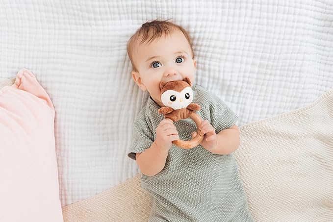 Pearhead Owl Wooden Baby Teething Ring, Plush Animal Infant Teether with Natural Wood, BPA-Free Sensory Rattle Toy for Newborns, 0 Months+