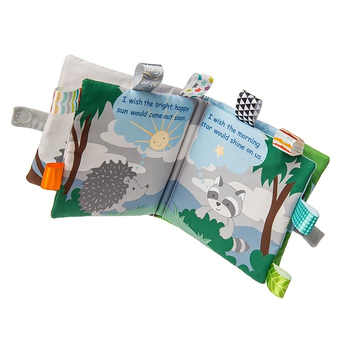 Taggies Touch & Feel Soft Cloth Book with Crinkle Paper & Squeaker, 6 x 6-Inches, Heather Hedgehog