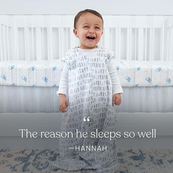HALO Micro-Fleece Wearable Blanket, Swaddle Transition Sleeping Bag, TOG 1.0
