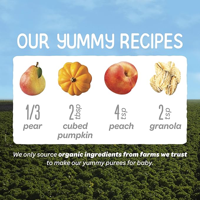Happy Baby Organics Stage 2 Baby Food Pouches, Gluten Free, Vegan & Healthy Snack, Clearly Crafted Fruit & Veggie Puree, Pumpkin, Peaches & Granola, 4 Ounces (Pack of 16)