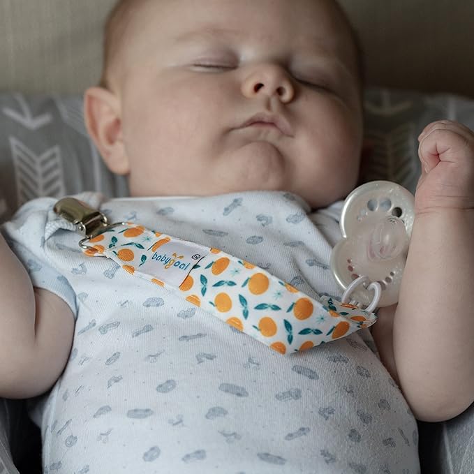 babygoal Floral Pacifier Clips, 6 Pack Binky Paci Holder Clips Leashes Fits for Most Pacifiers and Binkies 6PS14