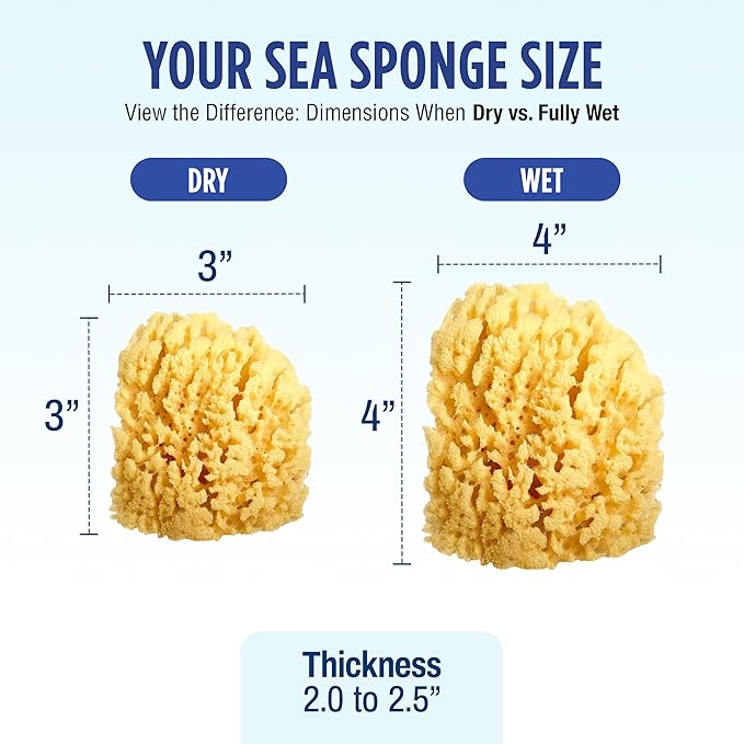Baby Buddy Baby Bath 4in Yellow Sea Sponge, Absorbent Natural Sea Sponge, Soft on Tender Skin, Biodegradable, Hypoallergenic, Bath Accessories for Bathing, 1 Pack