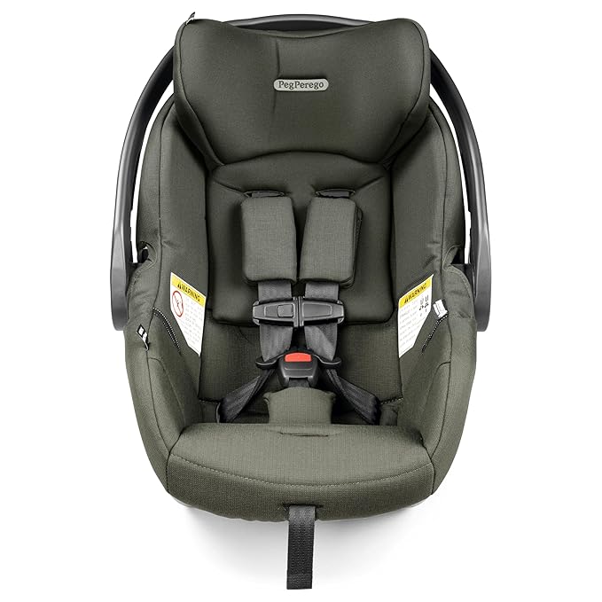 Peg Perego Primo Viaggio Nido - Rear Facing Infant Car Seat - Includes Base with Load Leg & Anti-Rebound Bar - for Babies 4 to 30 lbs - Made in Italy - Metal