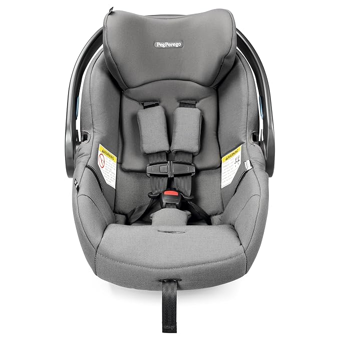 Peg Perego Primo Viaggio Nido - Rear Facing Infant Car Seat - Includes Base with Load Leg & Anti-Rebound Bar - for Babies 4 to 30 lbs - Made in Italy - Mercury