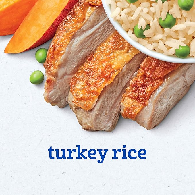 Gerber Stage 2 Baby Food, Turkey Rice Puree Tub, Nourishing Blends, No Added Colors or Flavors, Baby Puree, 2-Pack