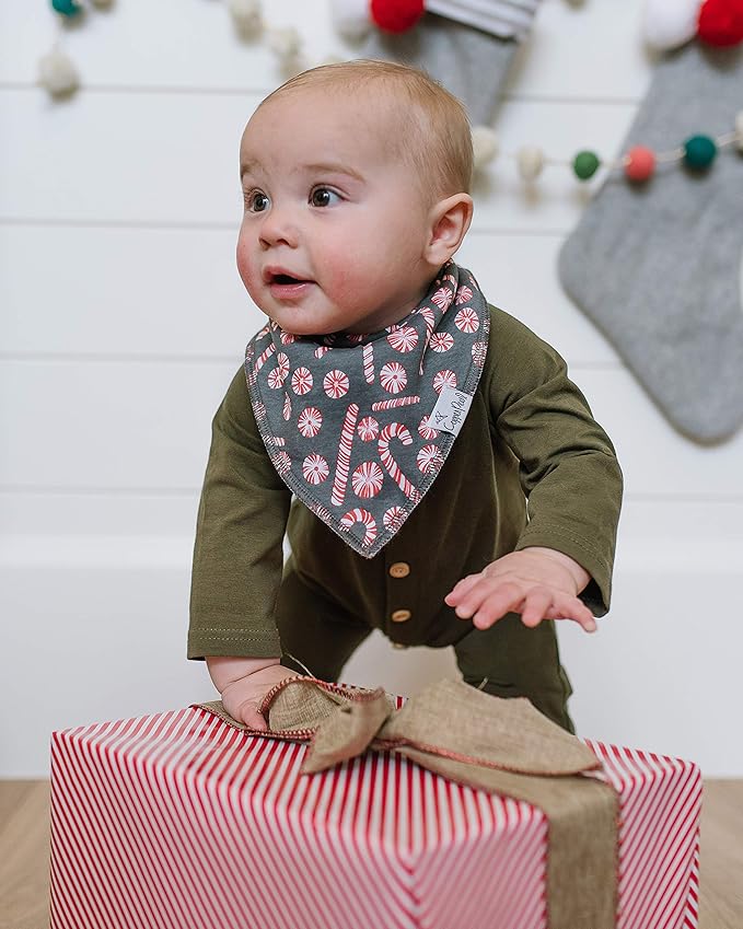 Copper Pearl Baby Bandana Drool Bibs for Drooling and Teething 4 Pack Gift Set Jolly, Soft Set of Cloth Bandana Bibs for Any Baby Girl or Boy, Cute Registry Ideas for Baby Shower Gifts